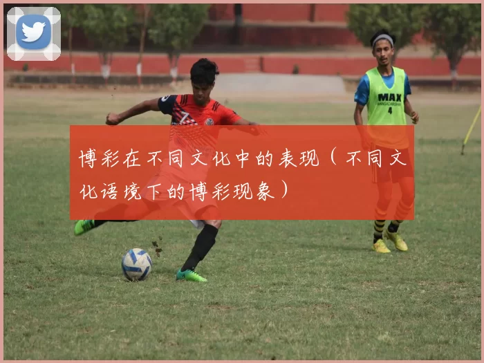 博彩在不同文化中的表现（不同文化语境下的博彩现象）