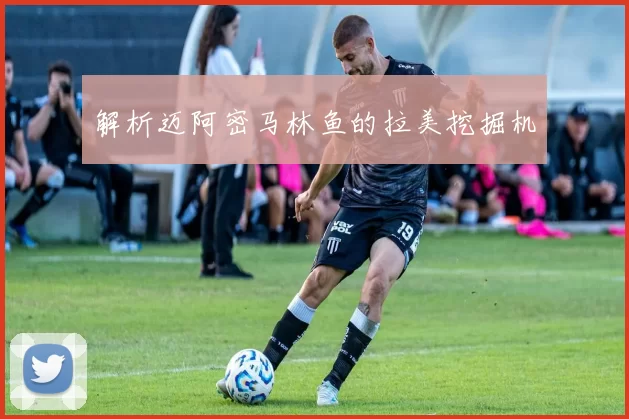 解析迈阿密马林鱼的拉美挖掘机