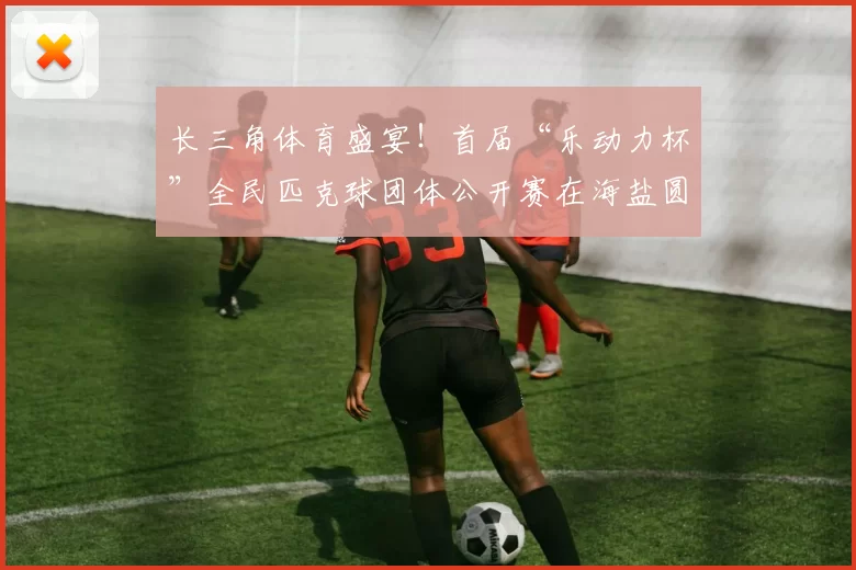 长三角体育盛宴！首届“乐动力杯”全民匹克球团体公开赛在海盐圆满举办