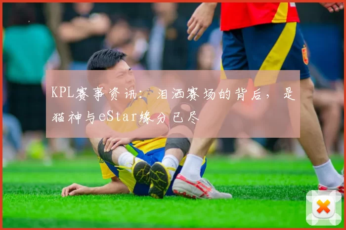 KPL赛事资讯：泪洒赛场的背后，是猫神与eStar缘分已尽