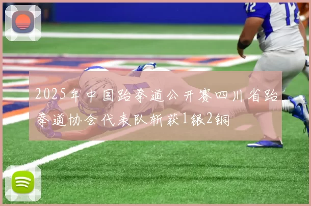 2025年中国跆拳道公开赛四川省跆拳道协会代表队斩获1银2铜