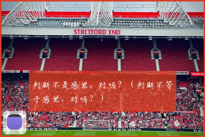 判断不是感觉，对吗？（判断不等于感觉，对吗？）