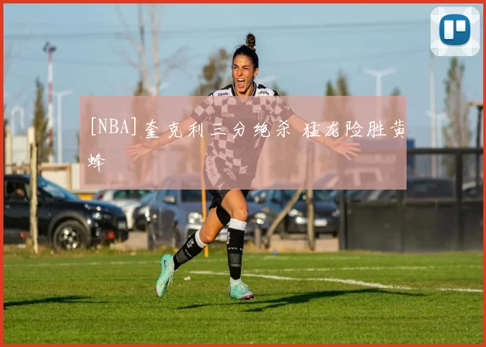 [NBA]奎克利三分绝杀 猛龙险胜黄蜂