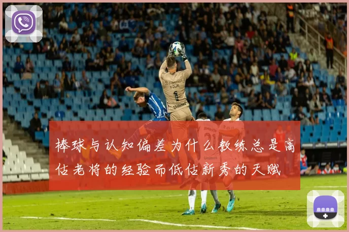 棒球与认知偏差为什么教练总是高估老将的经验而低估新秀的天赋