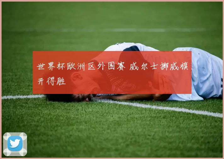 世界杯欧洲区外围赛 威尔士挪威旗开得胜