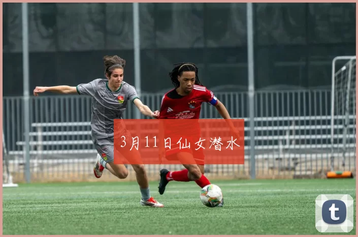 3月11日仙女潜水