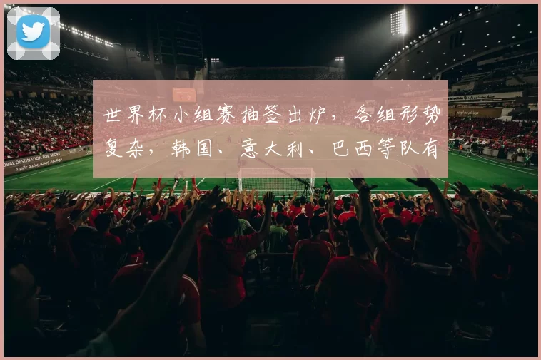 世界杯小组赛抽签出炉，各组形势复杂，韩国、意大利、巴西等队有望晋级，美国、土耳其等队面临挑战。